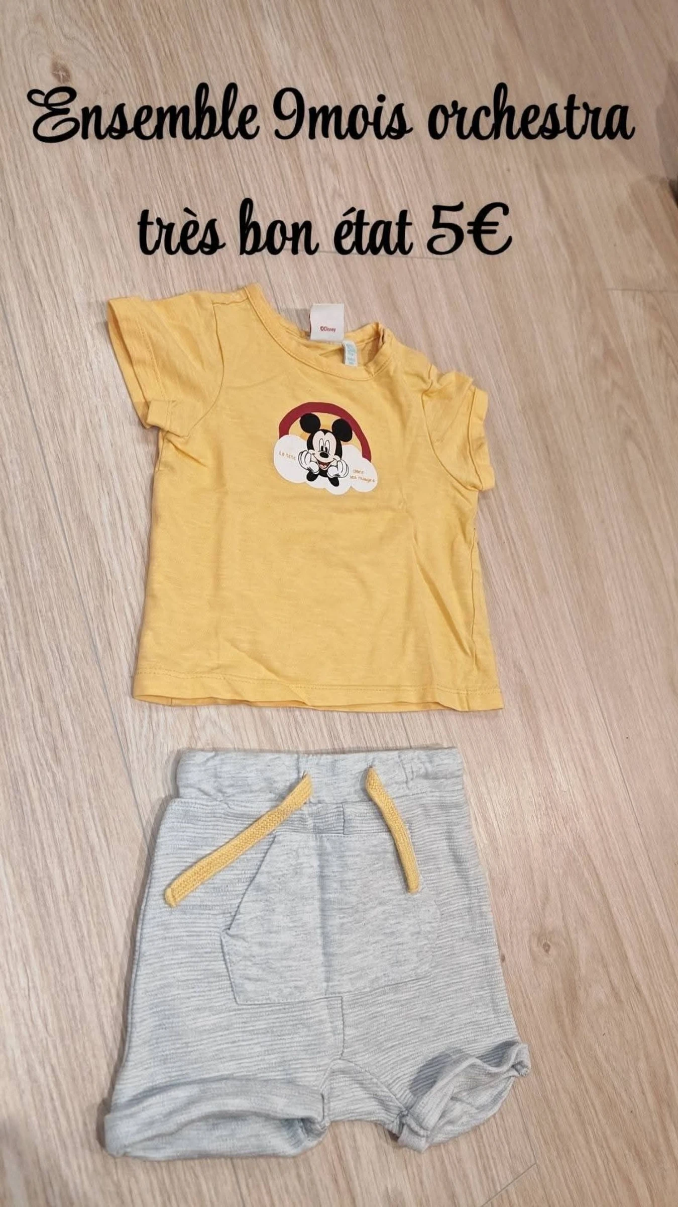 Ensemble Mickey 9mois orchestra 🌹